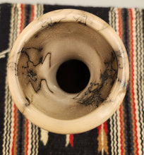 Load image into Gallery viewer, HORSEHAIR VASE - ERNEST WATCHMAN