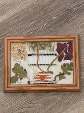 Load image into Gallery viewer, NAVAJO DYE CHART