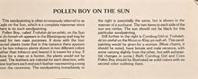 Load image into Gallery viewer, SANDPAINTING - SUNFACE WITH POLLEN BOY - DEBORAH FOSTER