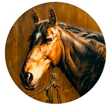 Load image into Gallery viewer, HORSE SANDSTONE COASTERS - 4 PACK