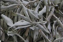 Load image into Gallery viewer, PREMIUM WHITE SAGE - 4 WAND SIZES / LOOSE LEAF