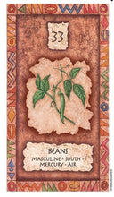 Load image into Gallery viewer, SHAMAN WISDOM CARDS