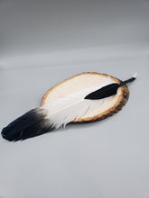 Load image into Gallery viewer, SMUDGING FEATHER - IMITATION EAGLE
