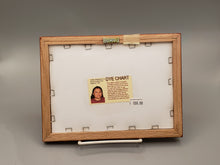 Load image into Gallery viewer, NAVAJO DYE CHART