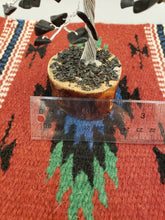 Load image into Gallery viewer, BLACK TOURMALINE GEMSTONE TREE - WOOD BASE