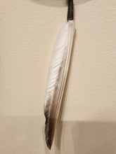 Load image into Gallery viewer, PAINTED SHIELD - GENE GEORGE