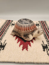 Load image into Gallery viewer, COLORED HORSEHAIR POTTERY - TURTLE - TOM VAIL
