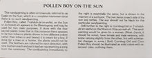 Load image into Gallery viewer, SANDPAINTING  - POLLEN BOY ON THE SUN - LEHI BENALLY
