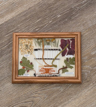 Load image into Gallery viewer, NAVAJO DYE CHART
