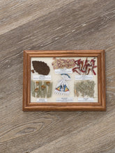 Load image into Gallery viewer, NAVAJO MEDICINE CHART
