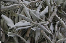 Load image into Gallery viewer, PREMIUM WHITE SAGE - 4 WAND SIZES / LOOSE LEAF
