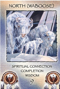 SPIRIT OF THE WHEEL- MEDITATION CARDS