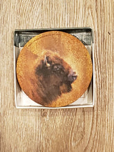 Load image into Gallery viewer, SANDSTONE COASTERS - 4per Set  - 7 DIFFERENT Varieties

